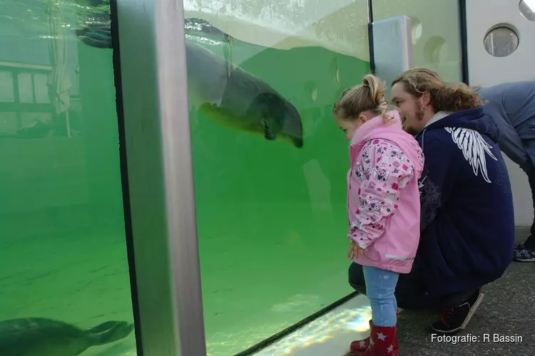 Voorjaarvakantie bij de musea