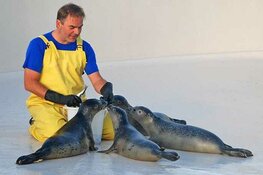 Liefde is... samen naar Ecomare