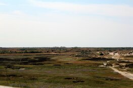 Vrijwilligers gaan vuilruimen in natuurgebied De Slufter