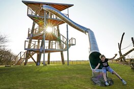 Stijg tot grote hoogte & bloei op