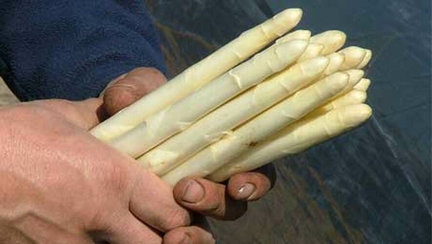 Aspergediner 2019 op 11 en 25 mei