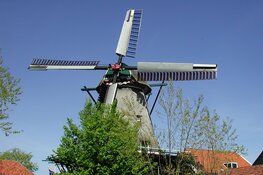 Open Molendag op De Traanroeier