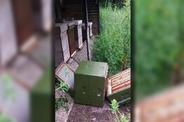 Opnieuw dood en verderf gezaaid onder bijen op Texel