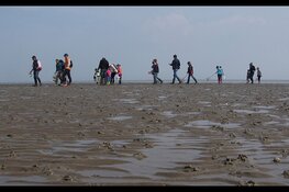 Ecomare viert Dag van het Wad