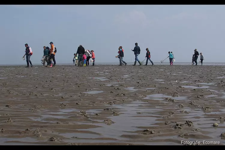 Ecomare viert Dag van het Wad