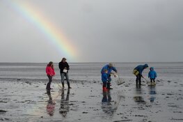 Nieuw: Engelstalige excursies