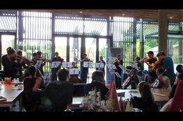 Gratis strijkersconcert in Museum Kaap Skil