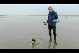 Ontdek de tentoonstelling Biofilm bij Ecomare met de maker