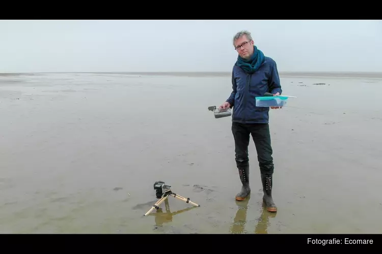 Ontdek de tentoonstelling Biofilm bij Ecomare met de maker