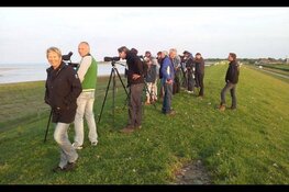 Vroege vogels de herfsttrek begint