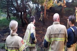 Natuurbrand Texel vermoedelijk aangestoken
