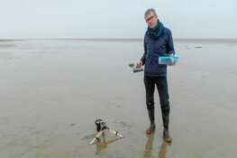 Texels dineren bij Ecomare