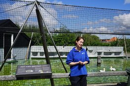 Week van de Biologie bij Ecomare