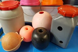 Aankomende vrijdag dierendag bij Ecomare