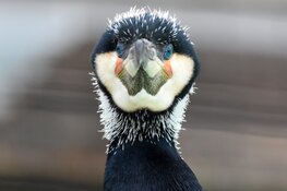Focus op de natuur in de herfstvakantie bij Ecomare