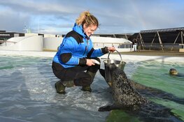 Focus op de natuur in de herfstvakantie bij Ecomare