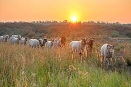Nacht van de Nacht op Texel