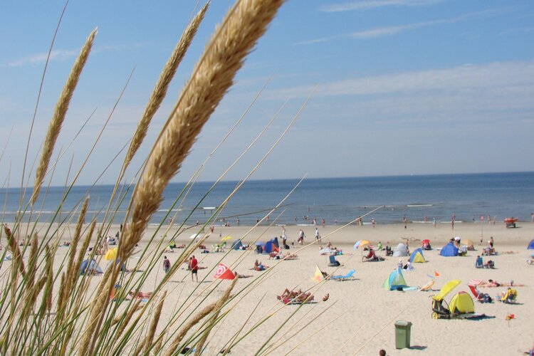 Hond vriendelijke omgeving