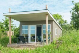 Hond vriendelijke omgeving