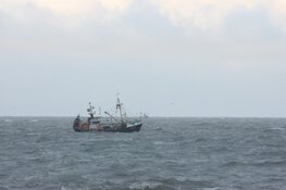 Ook vandaag geen duikactie in zoektocht naar vermiste vissers: "De wind is te hard"