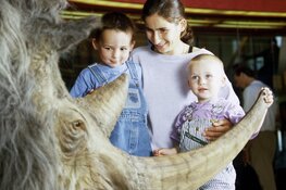 Afscheidslezing wolharige neushoorn