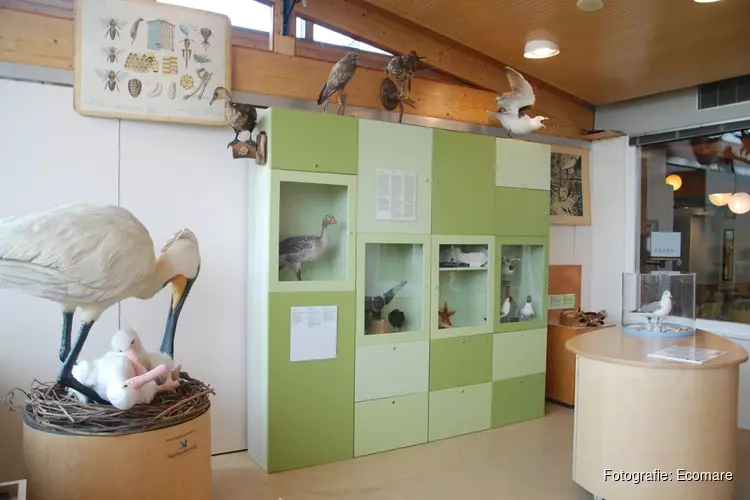 Tijdelijk opgeslagen bij Ecomare