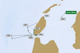 Albinozeehond Snow White blijkt druk baasje: hij zwom 25 kilometer de Noordzee op