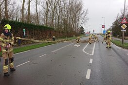 Boom op auto op Pontweg