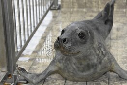 Naar Ecomare in de voorjaarsvakantie