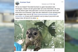 Emmertjes vis voor Ecomare
