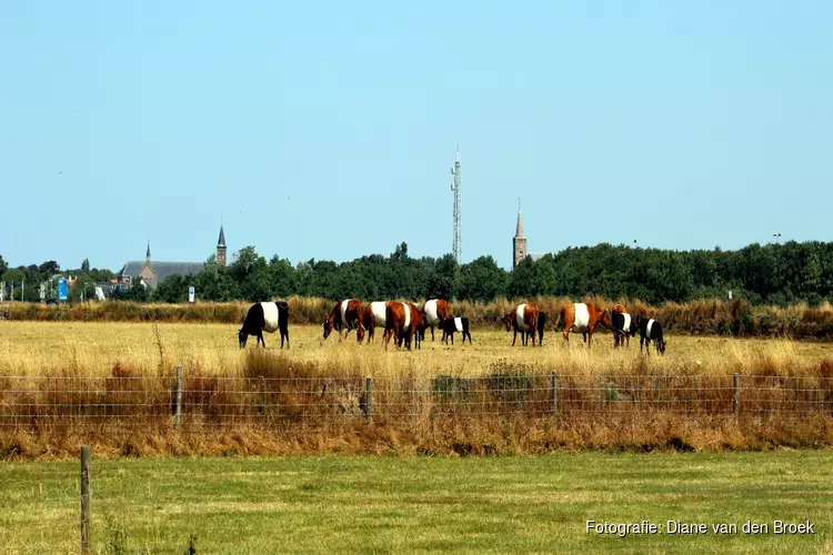 Historische &#39;Goede Vrijdag&#39; voor toerisme Texel: "Nog nooit zo weinig gasten"