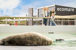 Ecomare en Museum Kaap Skil gaan weer open