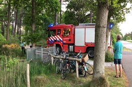 Duinbrandje snel onder controle