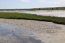 Water in natuurgebied Wagenjot op Texel gepompt tegen de droogte
