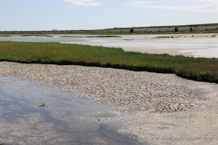 Water in natuurgebied Wagenjot op Texel gepompt tegen de droogte