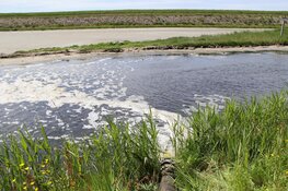 Water in natuurgebied Wagenjot op Texel gepompt tegen de droogte