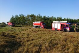 Brand in duinen bij De Cocksdorp