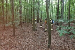 Natuurbrandje Den Burg snel onder controle
