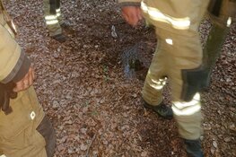 Natuurbrandje Den Burg snel onder controle