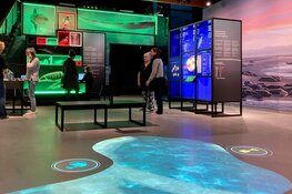 Nieuwe tentoonstelling Ecomare geopend
