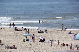 Drukte op Texel ondanks corona maatregelen tijdens zomerhitte
