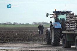 Texel gaat experimenteren met zoetwateropslag voor boeren