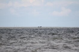 Boot in problemen bij De Cocksdorp