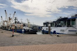 Zonder reservering is de haven Oudeschild op Texel vol