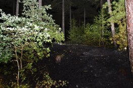 Brand in duingebied De Koog, 500 vierkante meter verwoest