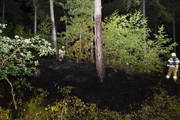 Brand in duingebied De Koog, 500 vierkante meter verwoest