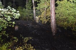 Brand in duingebied De Koog, 500 vierkante meter verwoest