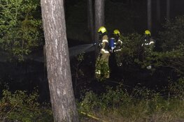 Brand in duingebied De Koog, 500 vierkante meter verwoest
