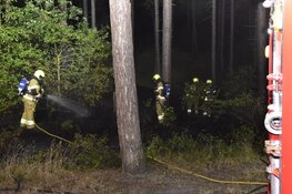 Brand in duingebied De Koog, 500 vierkante meter verwoest