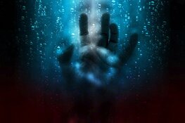 Regionale aanpak van huiselijk geweld en kindermishandeling